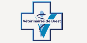 Lire la suite à propos de l’article Vétérinaires de Brest et de sa région