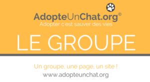 Lire la suite à propos de l’article Groupe FaceBook AdopteUnChat.org