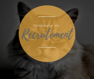 Lire la suite à propos de l’article Recrutement de bénévoles en septembre