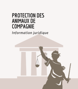 Lire la suite à propos de l’article 7 jours de réflexion avant d’adopter.