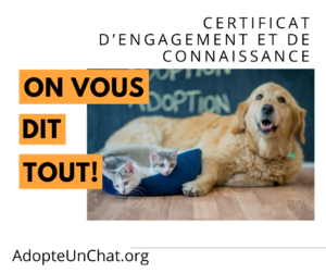 Lire la suite à propos de l’article Certificat d’engagement et de connaissance