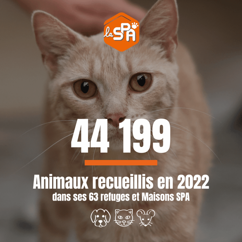 chiffre-SPA-bilan-2022_2 (1)